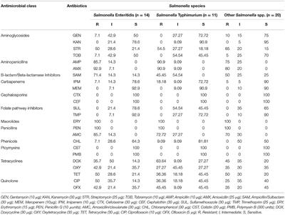 Prevalence of Antimicrobial Resistance and Virulence Gene Elements of Salmonella Serovars From Ready-to-Eat (RTE) Shrimps